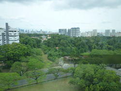 Viz At Holland (D10), Condominium #132877142